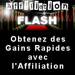 Affiliation Flash de Sylvain Millon